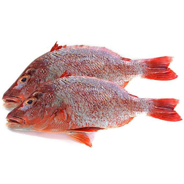 Red Fish (Headless Red Bream Fish) 1kg